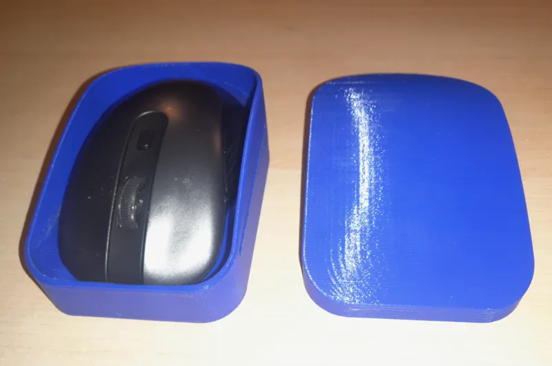 Remote mouse case/box