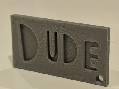 Funky DUDE Nameplate