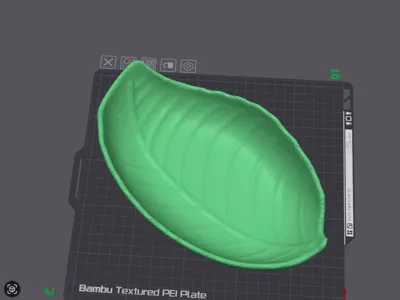 Reptile leaf drinking / eating dish