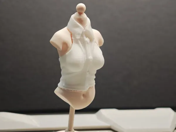 https://makerworld.bblmw.com/makerworld/model/US59e9d2ddff1915/design/10e31ce4c8df7bb2.jpg