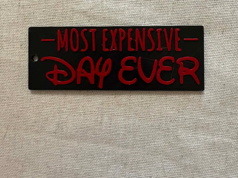“Most Expensive Day Ever” Keychain / Tag