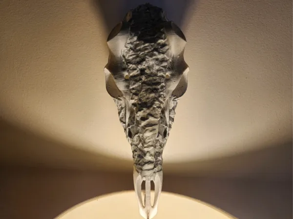 https://makerworld.bblmw.com/makerworld/model/US59f0ebca9f28f5/design/2024-12-28_da0dcdad984fe.jpg