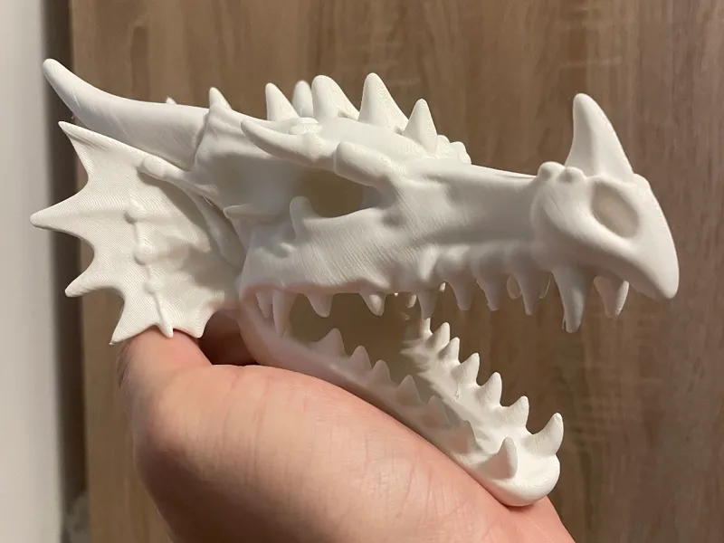 Gothic Dragon Skull Wall Trophy