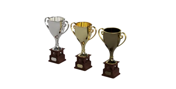 https://makerworld.bblmw.com/makerworld/model/US5a02e6c48939cc/design/2024-01-03_e7fc9b7d9f6c3.png