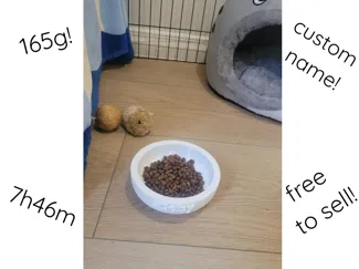 Pet Food Bowl (custom name)