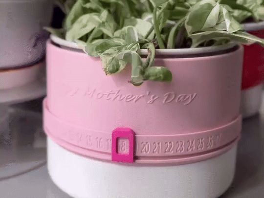 https://makerworld.bblmw.com/makerworld/model/US5a04ceca7a9e7d/design/2024-04-30_2432b8e60dd4a.gif