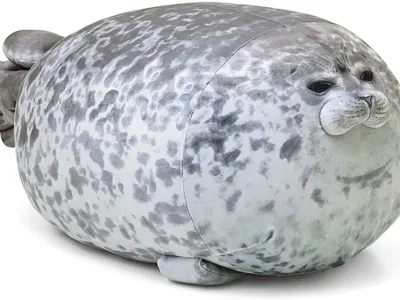 Tim the bouncing seal