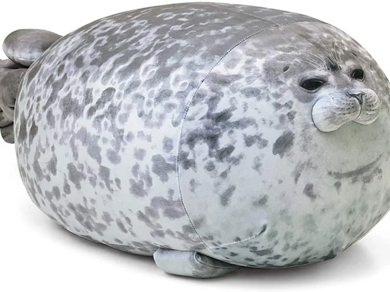 Tim the bouncing seal