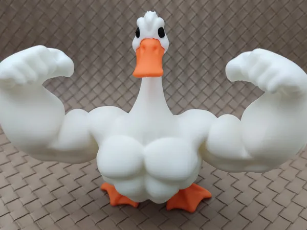 https://makerworld.bblmw.com/makerworld/model/US5a06edb0fdda4b/design/2025-04-25_ce3c432a25cc78.jpg