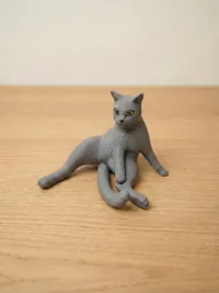Easier Print (No whiskers)