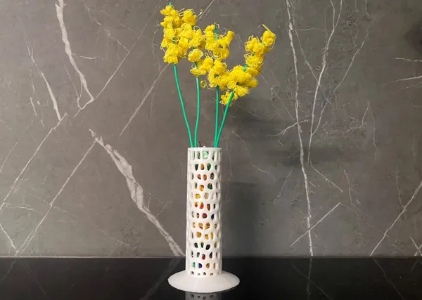 https://makerworld.bblmw.com/makerworld/model/US5a12f16c548447/design/2024-04-02_7d823ab2574c6.jpg