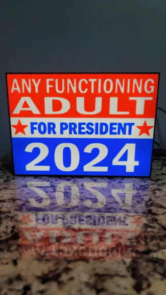 Any Functioning Adult for president 2024 lightbox