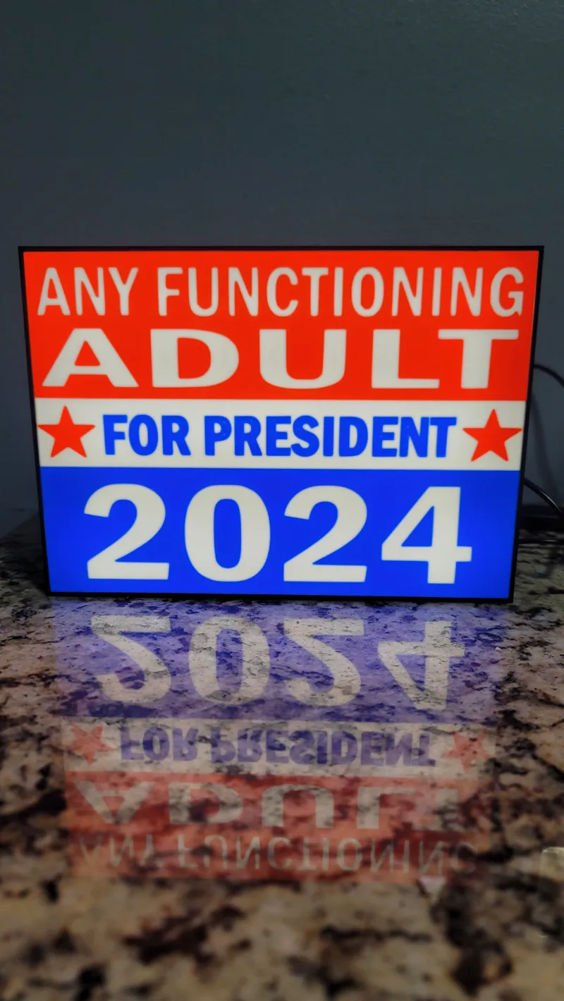 Any Functioning Adult for president 2024 lightbox