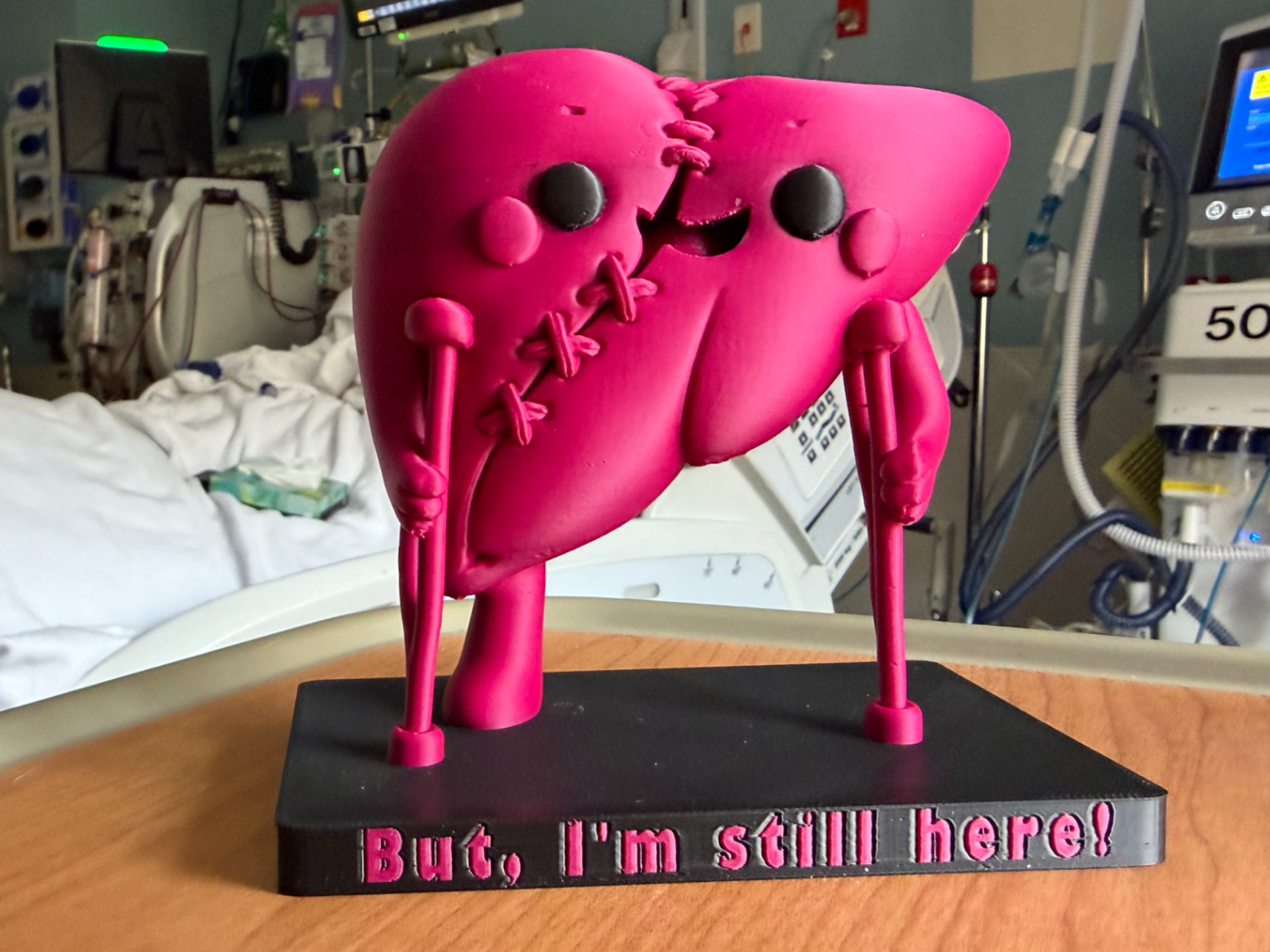 Larry the Lacerated Liver- Medical Humor Gift