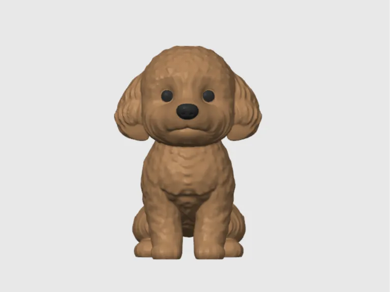 Sweet Poodle