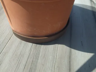 Underpot