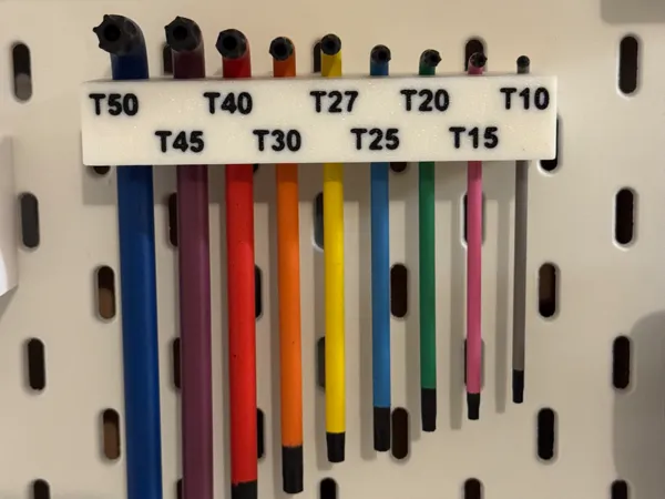 https://makerworld.bblmw.com/makerworld/model/US5a19b3a95a9b66/design/2025-09-07_d4ab1edf71364.jpeg