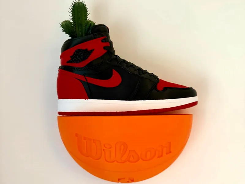 NBA Basketball Shelf