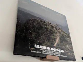Vynil Record Wall Holder for Renter friendly nail