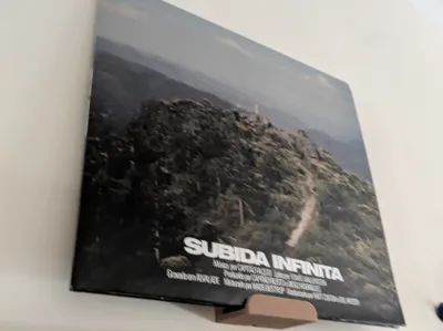 Vynil Record Wall Holder for Renter friendly nail