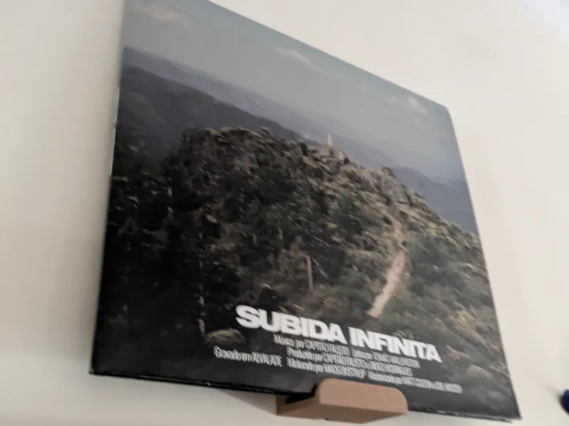 Vynil Record Wall Holder for Renter friendly nail