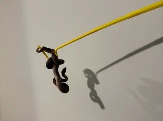 Extending Snake Pole