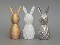 matte finish 0.12mm layer, 2 walls, 5% infill