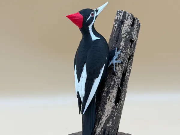 https://makerworld.bblmw.com/makerworld/model/US5a2a2c33bf27be/design/d294ddb60db0f673.jpg