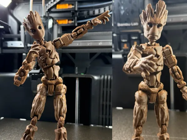 https://makerworld.bblmw.com/makerworld/model/US5a2f6be64eb223/design/2556c465e2068975.jpeg