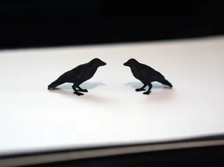 Attempted Murder