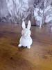 Balanced Detail - Quality Passthrough Bunny