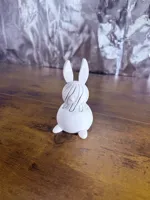 Balanced Detail - Quality Passthrough Bunny