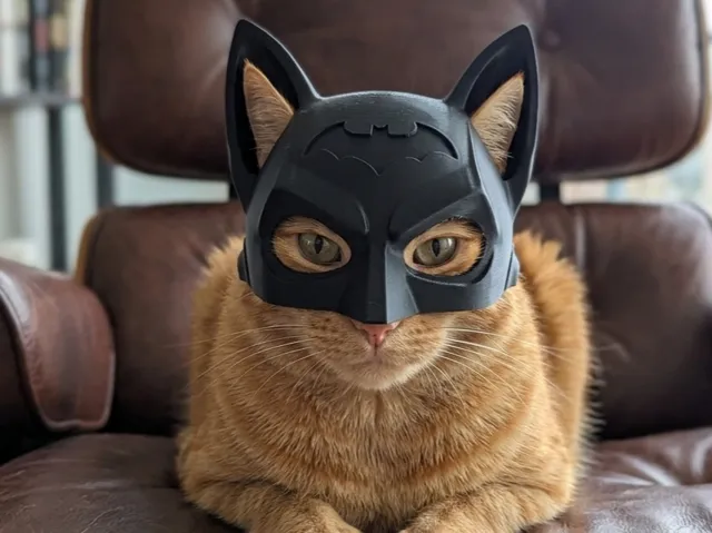 The best batman cat helmet ever!