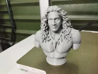 0.1mm layer, 2 walls, 15% infill