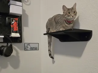 Cat Wall Shelf (180mm x 350mm) A1 Mini friendly