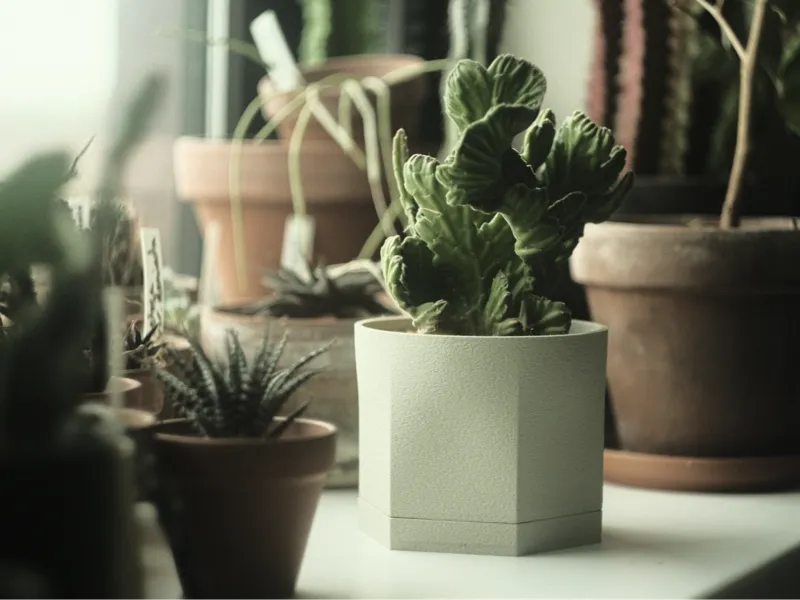 Modern plant pot with drip tray