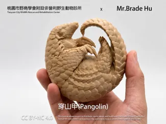 穿山甲 / 3D Scanned Model of a Roadkilled Pangolin