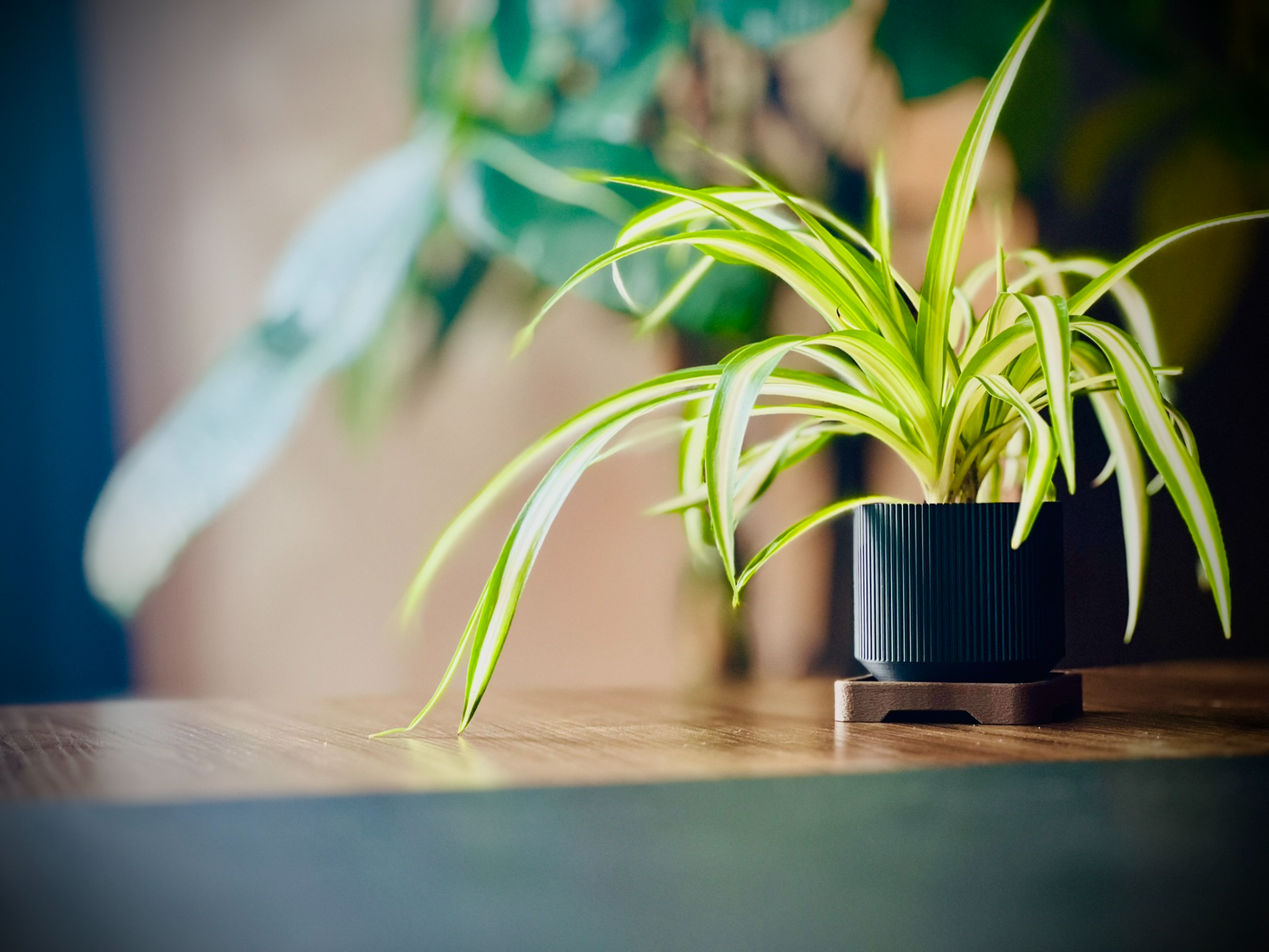 Bralento Living Line Solo Planter S