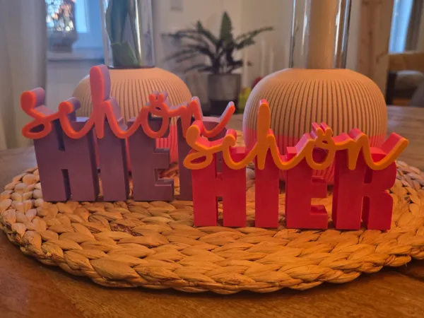 https://makerworld.bblmw.com/makerworld/model/US5a4773b06fbe4f/design/2026-01-12_061903f869f31.jpg