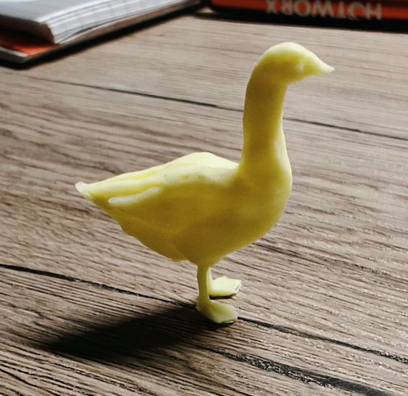 Silly small goose