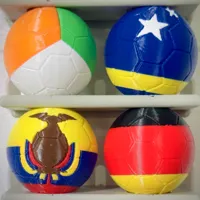 Group E - Curacao, Ecuador, Germany, Ivory Coast