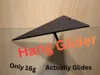 Normal Hang Glider
