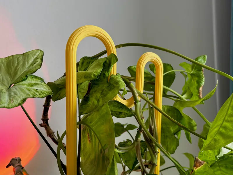 Plant support