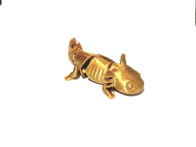 Mini Articulated Axolotol