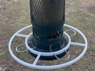 Squirrel Buster Bird Feeder Perch