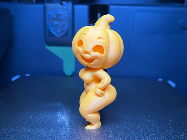 https://makerworld.bblmw.com/makerworld/model/US5a601b3d06088d/design/2025-10-07_0b37ae5e801be8.jpg