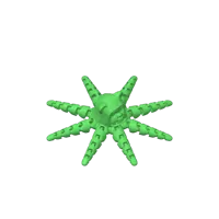 L'Ewoktopus — photo 3