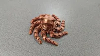 L'Ewoktopus — photo 1