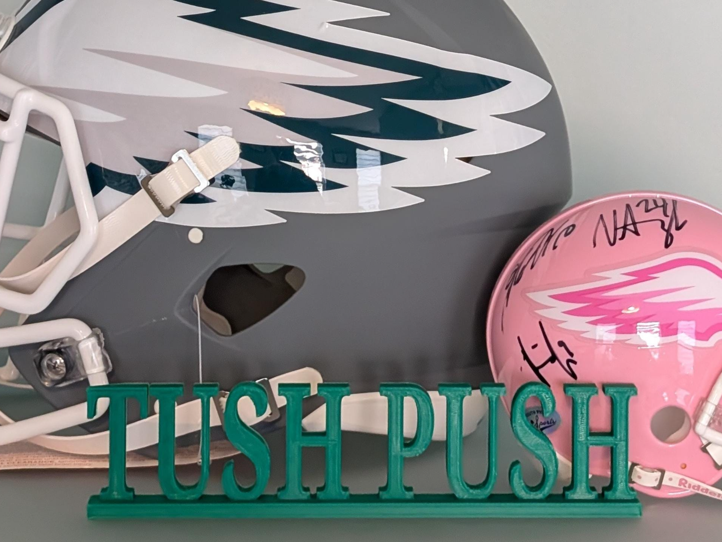 Philadelphia Eagles Tush Push Sign 9x2 Inches
