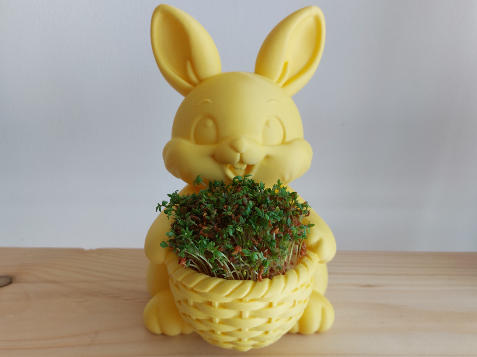 Easter Bunny with Basket Cute Home Decor